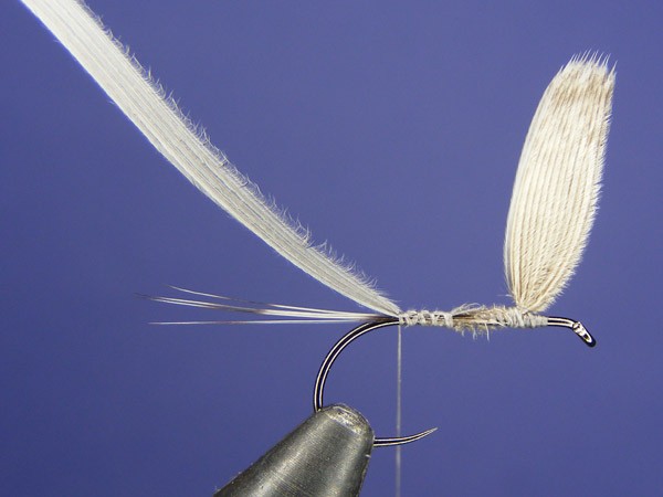 Grey Dun dry fly with mallard wings - How to tie fly, Fly tying Step by ...